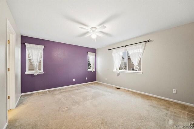 2633 Garganey Dr, Castle Rock, CO 80104 - photo 20