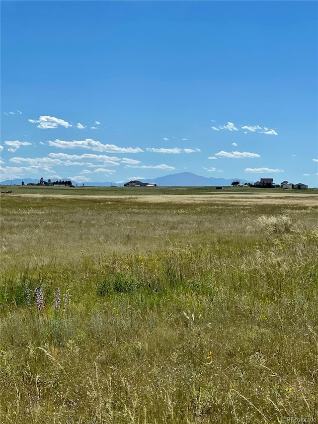 Log, Peyton, CO 80831