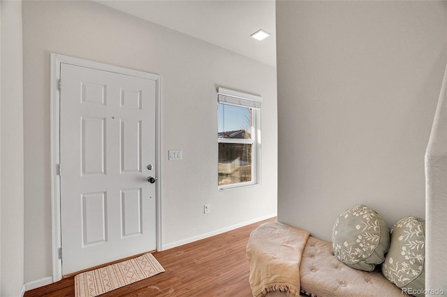 entrance foyer featuring hardwood / wood-style floors