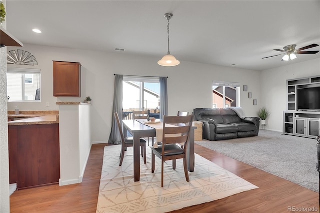 dining room featuring ceiling fan, plenty of natural light, and light wood-type flooring