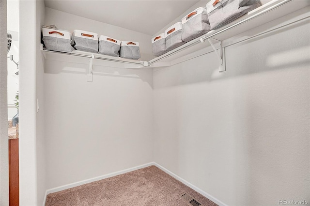 spacious closet with carpet