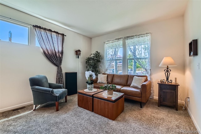 13962 Dexter Way, Thornton, CO 80602 - living room with healthy amount of natural light and carpet flooring