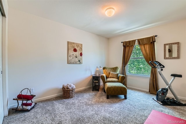 13962 Dexter Way, Thornton, CO 80602 - living area featuring carpet flooring and baseboards