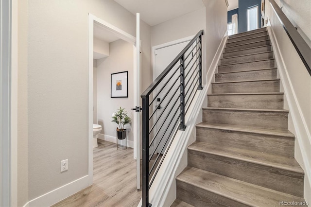 staircase featuring wood-type flooring