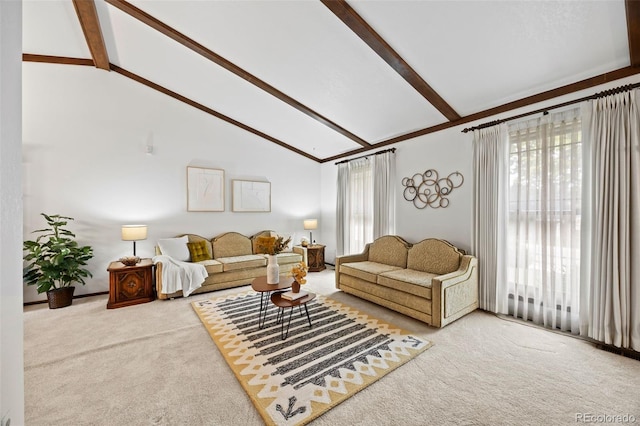 4677 S Wolff St, Denver, CO 80236 - living area featuring carpet flooring