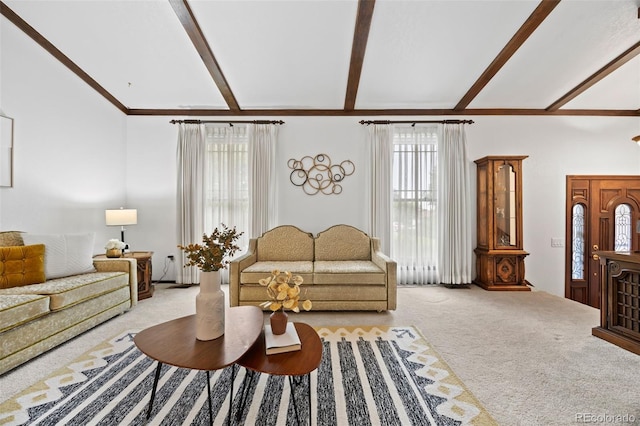 4677 S Wolff St, Denver, CO 80236 - living room with light colored carpet