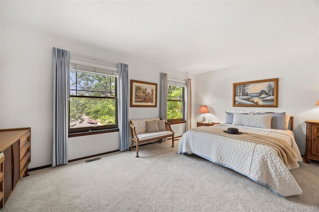4677 S Wolff St, Denver, CO 80236 - bedroom with light carpet and multiple windows