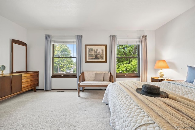 4677 S Wolff St, Denver, CO 80236 - bedroom with multiple windows and carpet flooring