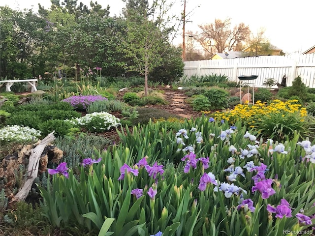 947 S Yates St, Denver, CO 80219 - view of yard