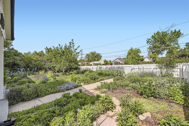 947 S Yates St, Denver, CO 80219 - view of yard