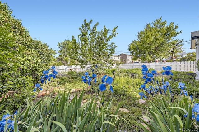 947 S Yates St, Denver, CO 80219 - view of yard