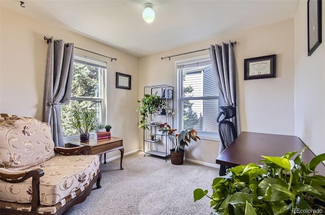 carpeted office featuring baseboards