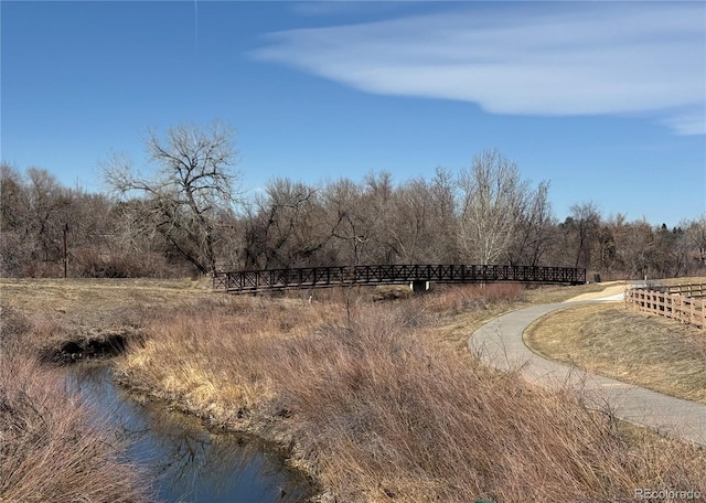 view of local wilderness