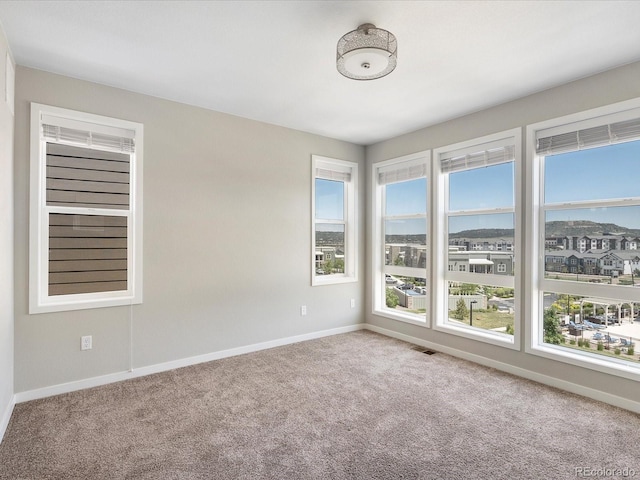 3654 Penang Dr, Castle Rock, CO 80109 - unfurnished room featuring carpet floors and baseboards
