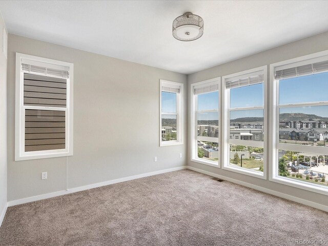 3654 Penang Dr, Castle Rock, CO 80109 - photo 17