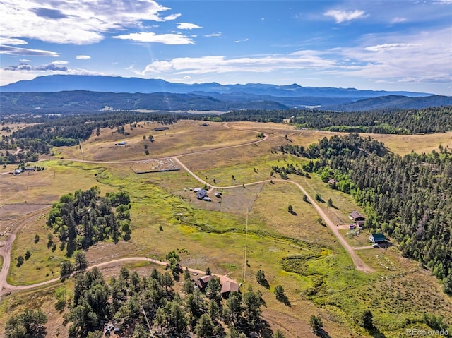 birds eye view of property featuring a mountain view