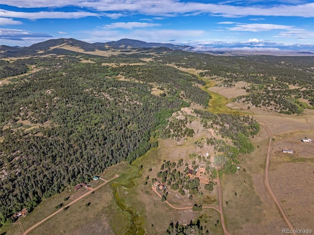 aerial view with a mountain view