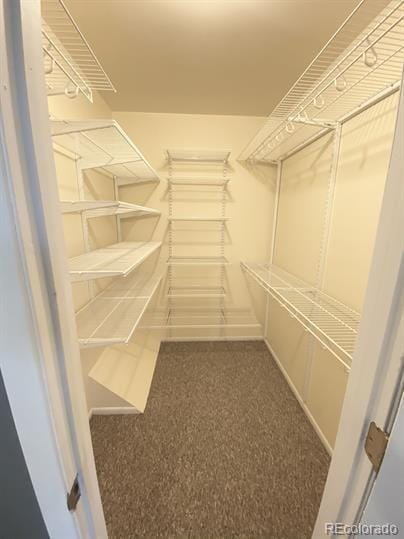 7309 W Hampden Ave Unit 5202, Lakewood, CO 80227 - photo 13