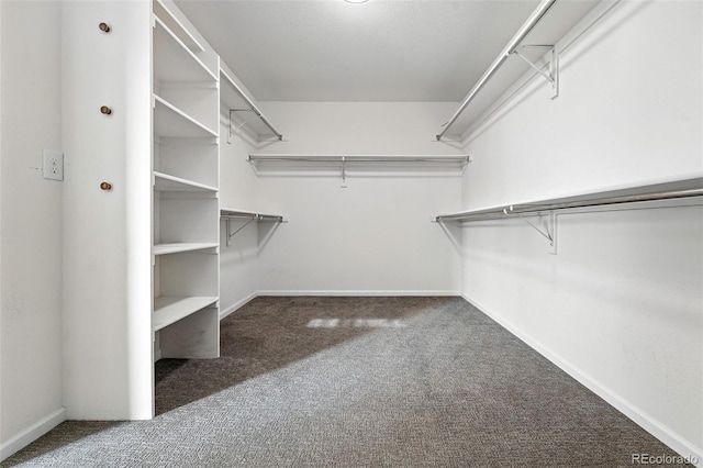 6039 Quay Ct, Arvada, CO 80003 - walk in closet with carpet flooring