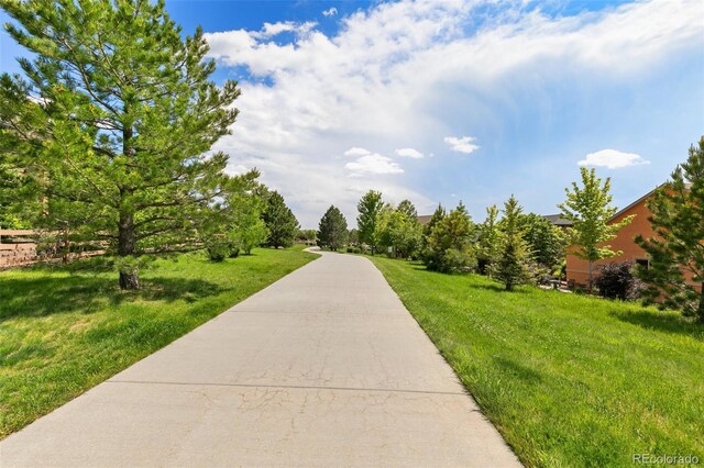 12441 Woodruff Dr, Colorado Springs, CO 80921 - photo 50