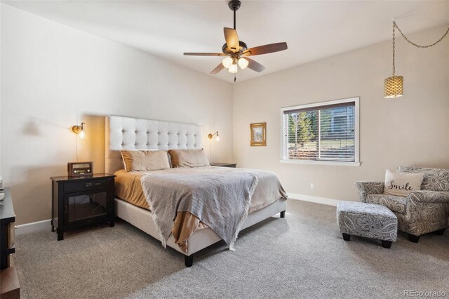12441 Woodruff Dr, Colorado Springs, CO 80921 - photo 19