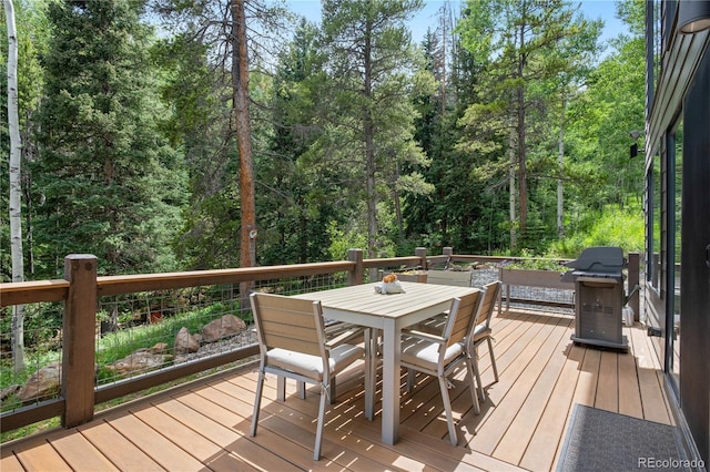 7764 Matterhorn Rd, Evergreen, CO 80439 - photo 18