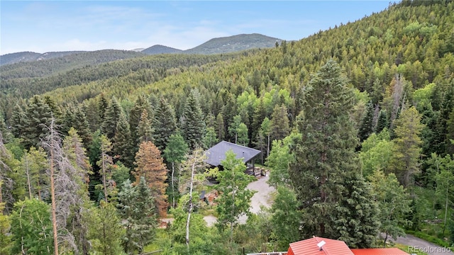 7764 Matterhorn Rd, Evergreen, CO 80439 - photo 30