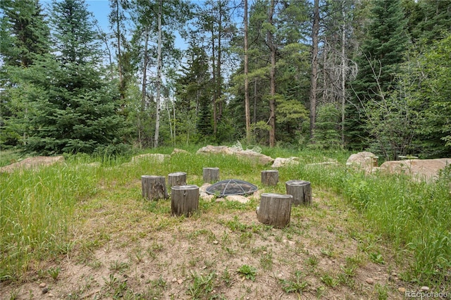 7764 Matterhorn Rd, Evergreen, CO 80439 - photo 23
