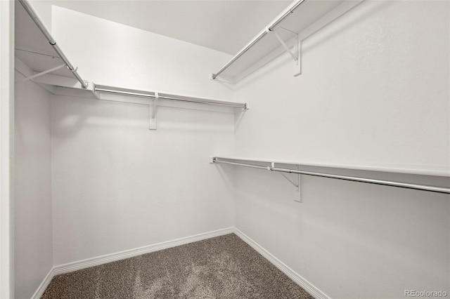 19782 W 59th Ave, Golden, CO 80403 - walk in closet with carpet