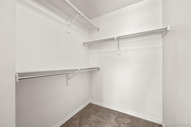 19782 W 59th Ave, Golden, CO 80403 - spacious closet featuring carpet