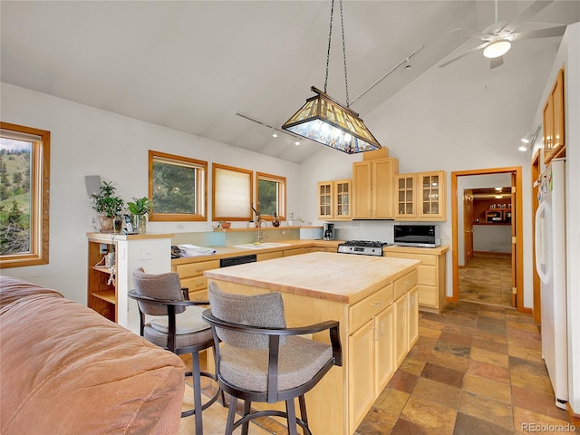 6094 Pyrenees Trl, Golden, CO 80403