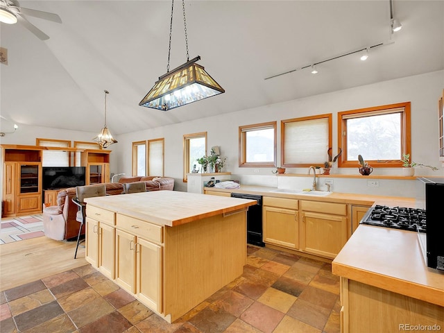 6094 Pyrenees Trl, Golden, CO 80403