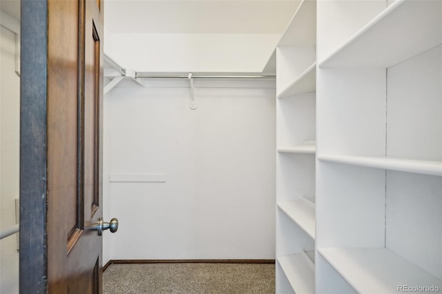 spacious closet with carpet