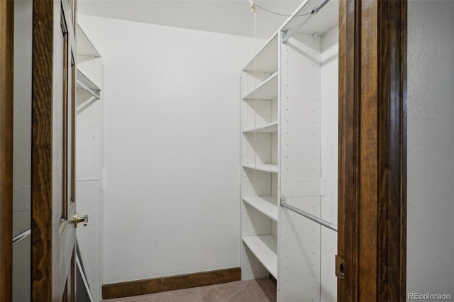 walk in closet with carpet