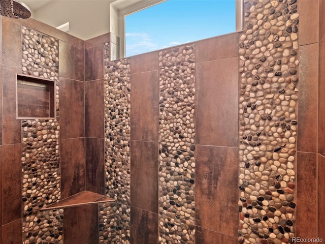 2741 Java Ct, Denver, CO 80211 - bathroom with a tile shower