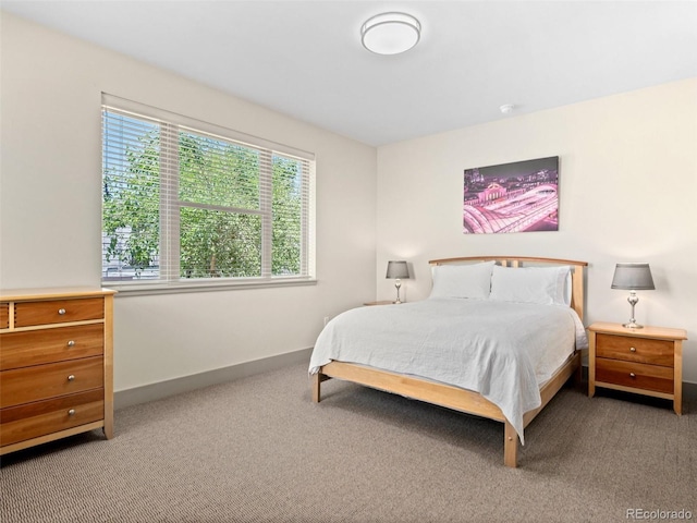2741 Java Ct, Denver, CO 80211 - bedroom featuring light carpet and baseboards