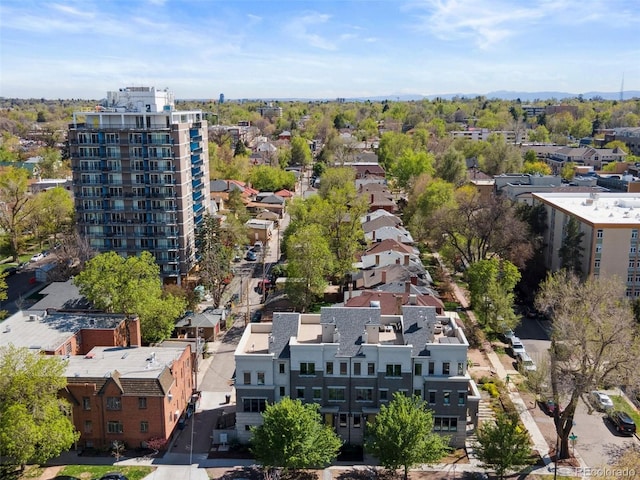 bird's eye view