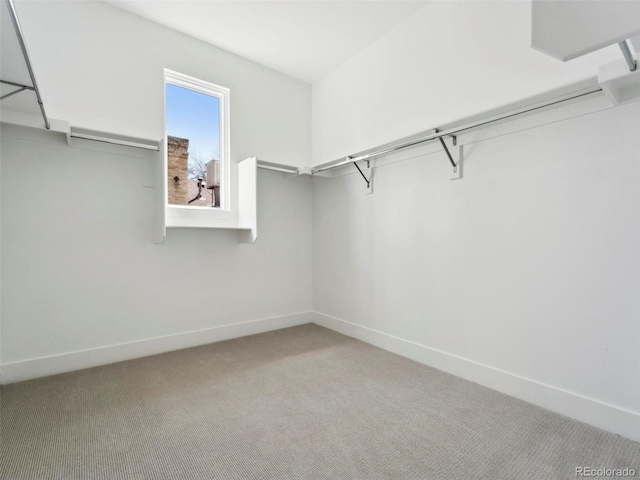 walk in closet featuring light carpet