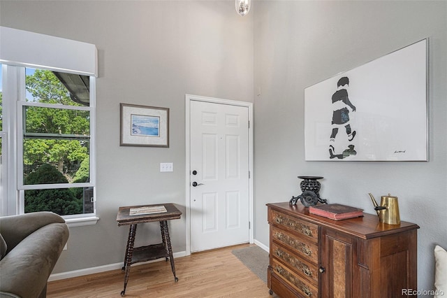 7696 S Hudson Way, Centennial, CO 80122 - entrance foyer with light wood finished floors and baseboards