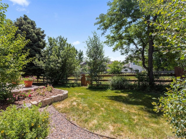 16362 Oakmoor Pl, Parker, CO 80134 - view of yard