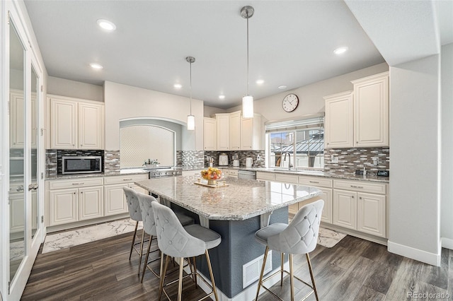 4981 Liverpool St, Denver, CO 80249 - photo 10