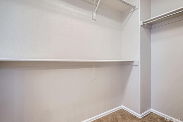 11029 Grouse Ct, Parker, CO 80134 - spacious closet featuring carpet floors