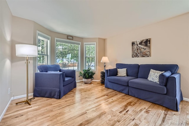 9733 Quay Loop, Broomfield, CO 80021 - living area with light wood-style floors