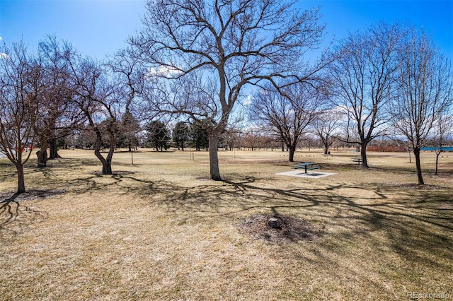 3047 W 47th Ave Unit 112, Denver, CO 80211 - view of yard