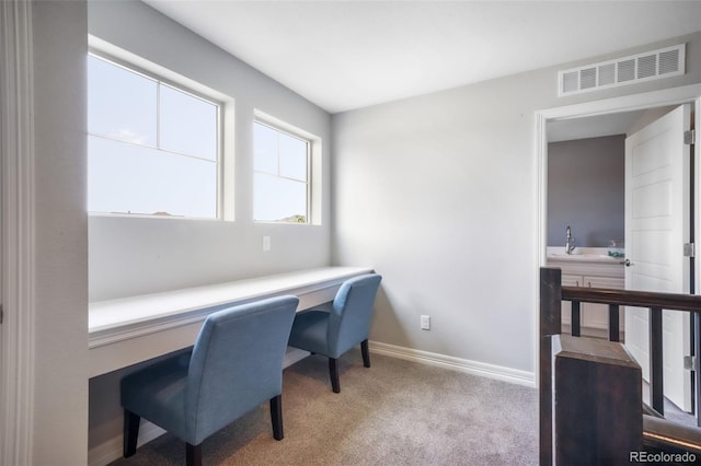 6851 Backcountry Loop, Colorado Springs, CO 80927 - photo 27