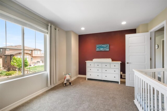 6851 Backcountry Loop, Colorado Springs, CO 80927 - photo 31