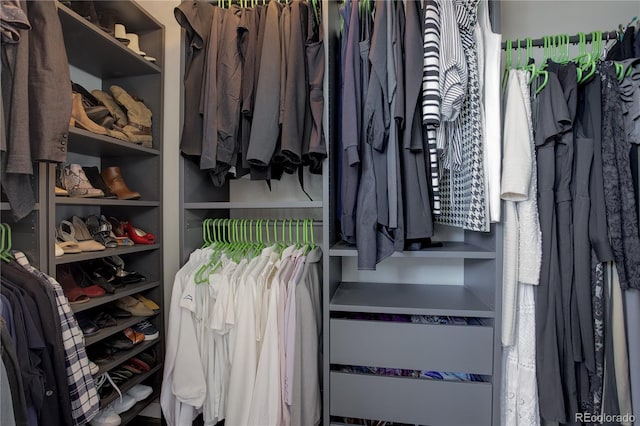 view of walk in closet