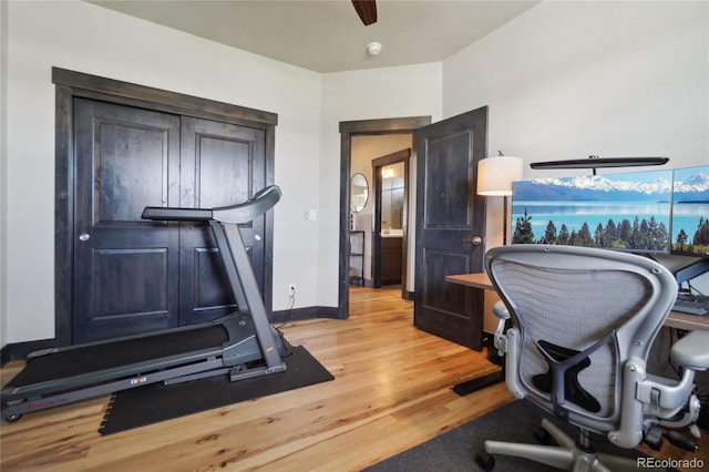 home office with baseboards, a ceiling fan, and light wood-style flooring