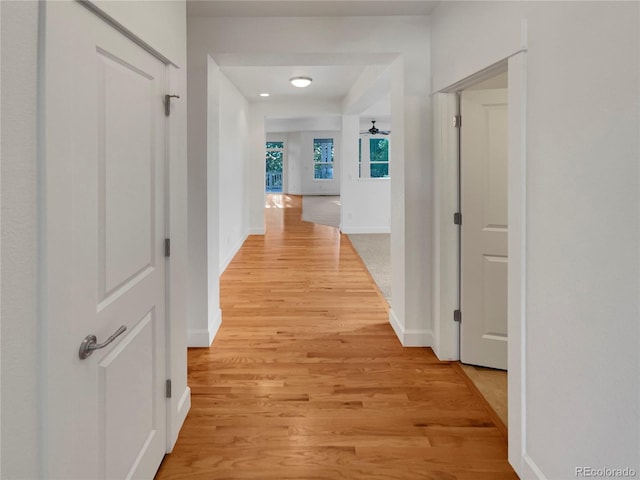 24955 E Roxbury Pl, Aurora, CO 80016 - hall with light wood-style flooring and baseboards