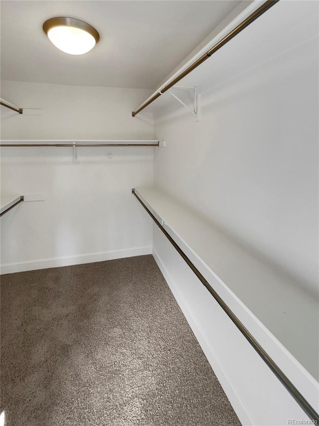 24955 E Roxbury Pl, Aurora, CO 80016 - view of walk in closet